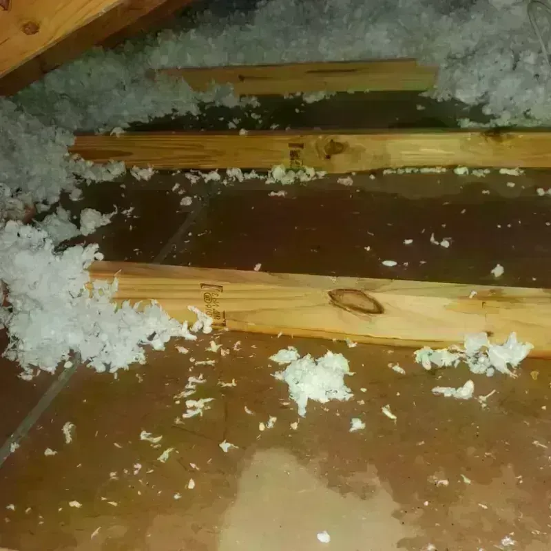 Attic Water Damage in Hutto, TX