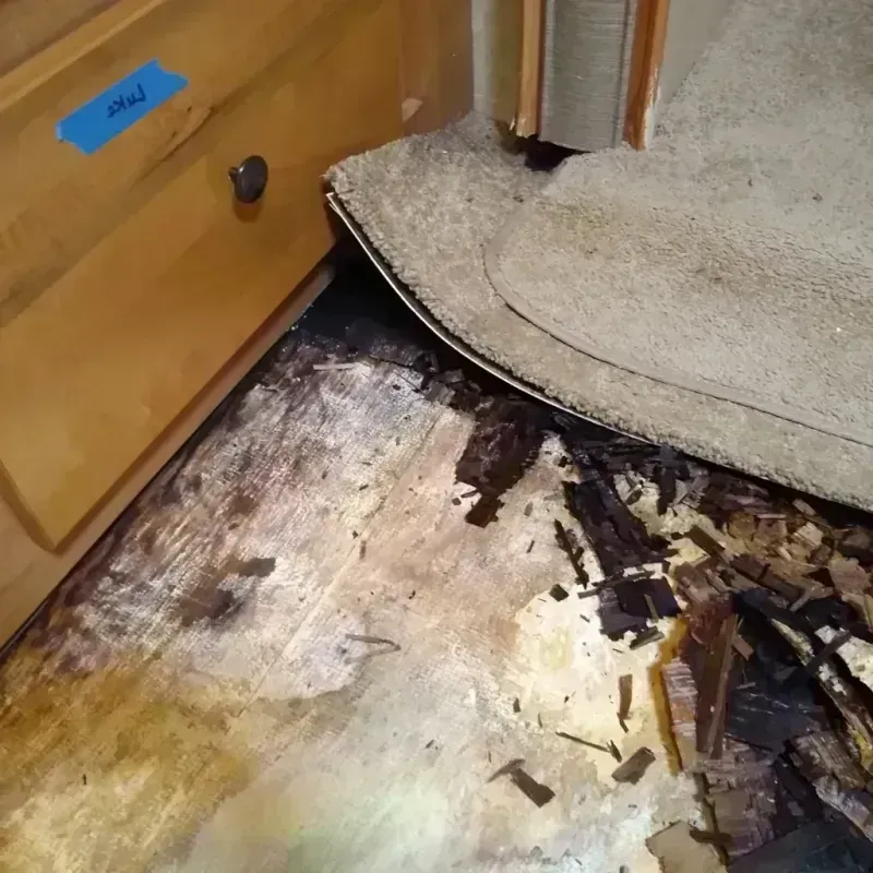 Best Wood Floor Water Damage Service in Hutto, TX